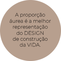 Curiosidade