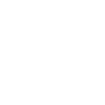 Curiosidade